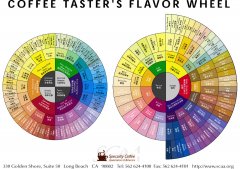 SCAA的咖啡风味轮世界咖啡研究协会WCR美国精品咖啡协会（SCAA）