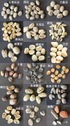 烘焙师要怎么做 如何变成咖啡烘焙师
