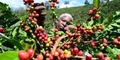 巴布亚新几内亚Papua New Guinea印度的肯特种坦桑尼亚的铁比卡