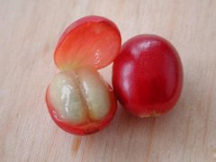 国内有机咖啡少有认证
