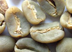 浆果译文生豆处理和存储咖啡豆的水分精品咖啡豆新鲜咖啡