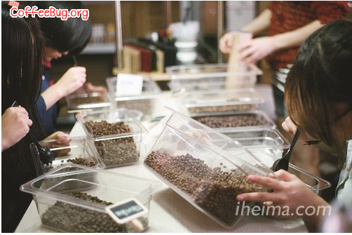 专业烘焙咖啡的淘宝店铺用专注撑起了咖啡这门生意。
