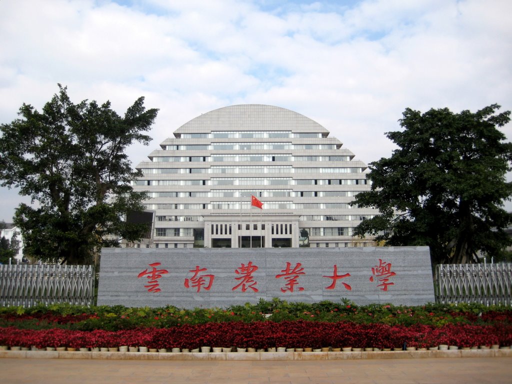 云南农业大学拟新开“咖啡与咖啡工程”专业