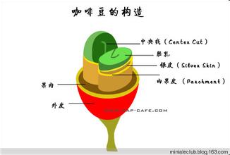 尼加拉瓜咖啡豆的口感风味庄园产地区品种研磨刻度介绍