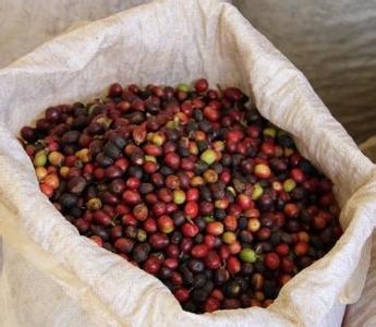 危地马拉茵赫特庄园咖啡豆品种风味口感产地区研磨度简介