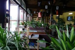 优雅花香酸质细致柔和的波多黎各精品咖啡研磨度烘焙程度处理方法