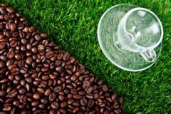 光滑硬度高的茵赫特庄园精品咖啡豆种植情况地理位置气候海拔简介