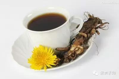 超越可乐奶茶风靡美国的新奇饮料——蒲公英咖啡