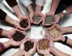 浓郁醇度的芙茵庄园精品咖啡豆品种种植市场价格简介