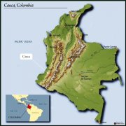 哥伦比亚Colombia考卡省卓越杯水洗特选批次精品咖啡豆新鲜烘焙