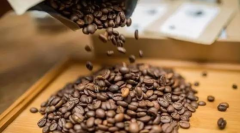 卢旺达穆修伊处理厂水洗波旁精品咖啡豆的手冲参数建议