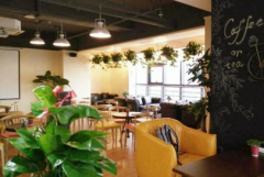 当文艺咖啡邂逅优着点智慧餐饮 不排队 秒收银