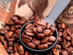 巴拿马火石庄园蜜处理卡杜艾SHB咖啡豆分级、价格、生豆及烘焙度