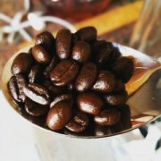 玻利维亚咖啡口感风味 玻利维亚咖啡特点