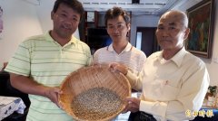 44年前山里随手种咖啡 繁衍台东“阿拉比卡”传奇