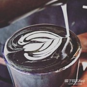 西达摩夏奇索风味描述 夏奇索咖啡哪个牌子好