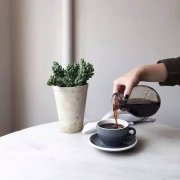 萨尔瓦多喜马拉雅咖啡品牌有哪些 萨尔瓦多咖啡冲泡步骤