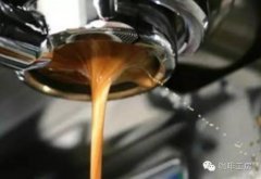 圣佩德罗庄园单品豆咖啡豆介绍特点风味描述杯测分数产地信息