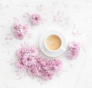 萨尔瓦多茶花女庄园单品豆庄园有哪些 茶花女庄园单品豆烘焙建议