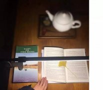 天堂鸟庄园单品豆怎么处理加工 天堂鸟庄园单品豆等级怎么划分