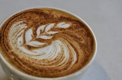 芙茵庄园单品豆产区介绍 芙茵庄园单品豆怎么冲泡