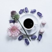 圣芭拉拉庄园单品豆怎么处理加工 圣芭拉拉庄园单品豆等级怎么划