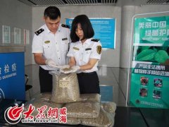 咖啡生豆还能发芽？旅客携带60公斤生咖啡豆入境被退运