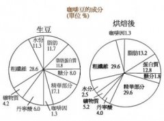 科普 | 咖啡豆的营养与成份分析