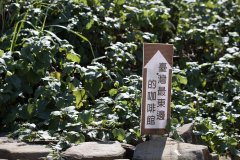 发现台湾最东的小渔村咖啡馆“马岗街27号咖啡小馆”