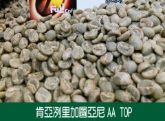肯尼亚 Kenya AA FAQ 微型处理厂特选咖啡风味口感香气描述