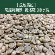 危地马拉 阿提特兰湖 希洛罗SHB欧规水洗咖啡风味口感香气描述