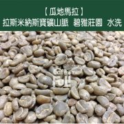 危地马拉拉斯米纳斯宝矿山脉碧雅庄园水洗薇拉莎奇种庄园种植介绍