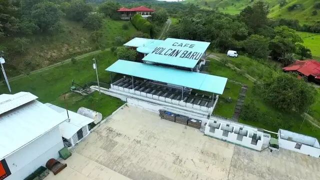 詹森庄园詹森瑰夏好喝吗？性价比高吗？詹森瑰夏冲煮参数教程