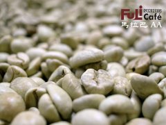 印度 季风马拉巴 AA Monsooned Malabar AA咖啡风味口感香气描述