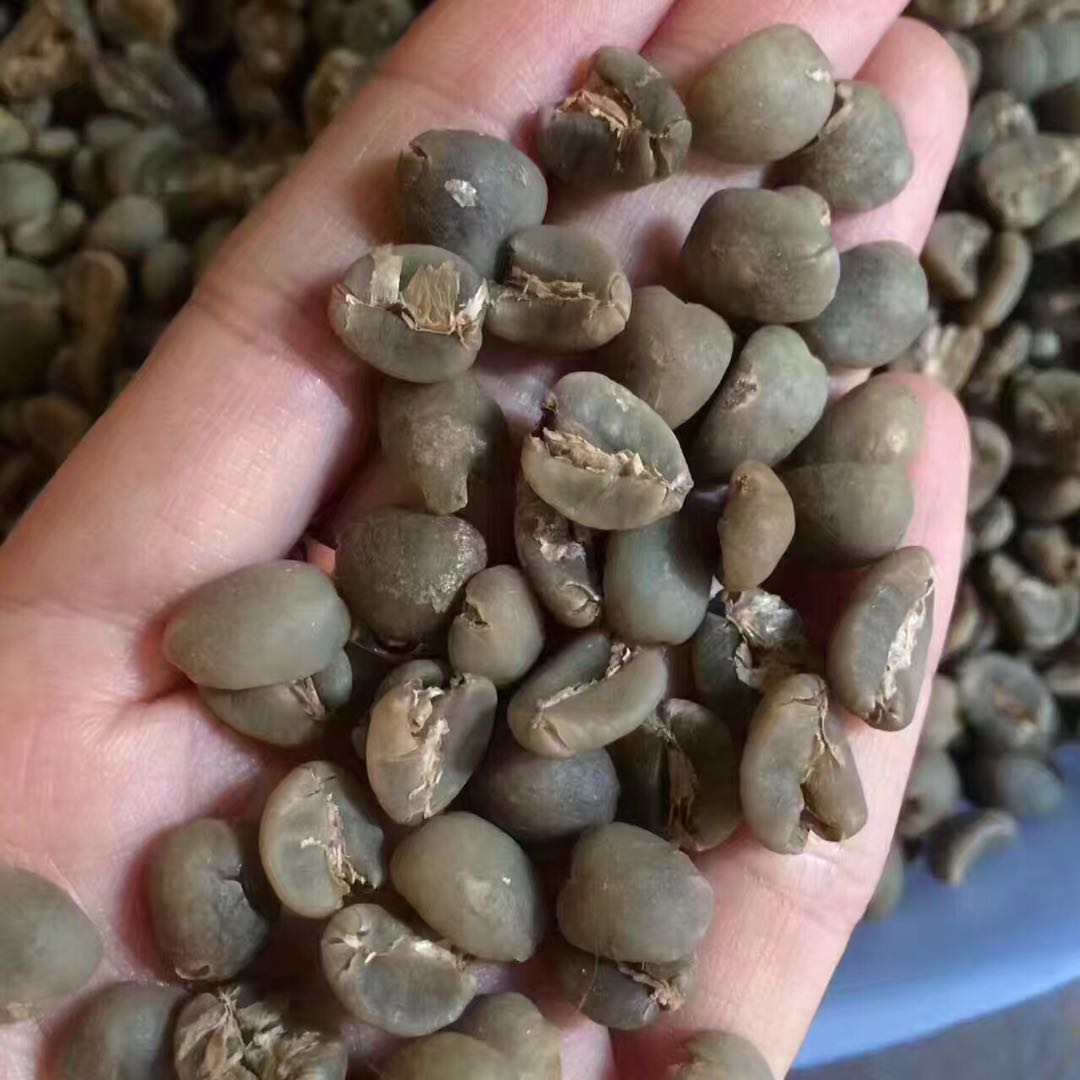 曼特宁G1咖啡豆黄金曼特宁的价格区别 曼特宁手冲咖啡参数特点