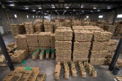 越南盛产罗布斯塔总产量已经蝉联“世界第二大咖啡生产国”多年！