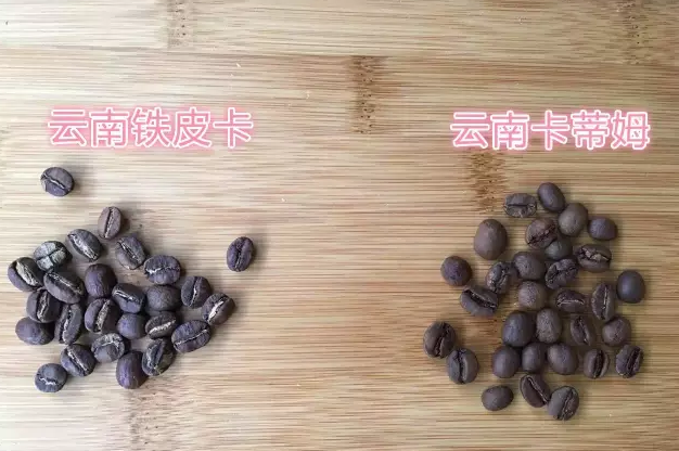 生豆档案 | 云南小粒咖啡云南铁皮卡Typica精品咖啡豆