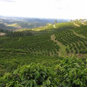 墨西哥科特佩(Coatepec）和华图司科(Huatusco)咖啡风味口感介绍