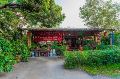台湾高雄红豆庄园有机咖啡特点 台湾本土咖啡风味