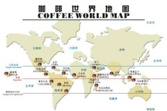 中级咖啡师理论考试题目，标准化题库《中级咖啡师复习提纲》