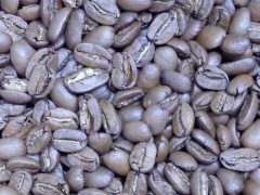 尼加拉瓜布耶诺斯艾雷斯庄园Buenos Aires COE杯测得奖Maragogype