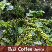 咖啡界“巨人”巴西咖啡豆历史故事介绍 巴西咖啡价格特点