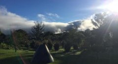 堪称危地马拉最有价值的咖啡庄园-茵赫特庄园竞标批次介绍