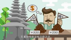 在巴厘岛买咖啡骗局之公豆与母豆 其实咖啡公豆和母豆味道都一样