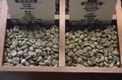常见咖啡豆等级区分标准 咖啡豆等级g1与咖啡等级shb是什么意思