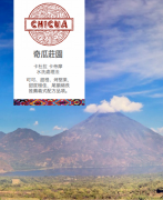 奇瓜庄园改进豆子品种改善风味。没有工具怎么冲咖啡？挂耳最方便