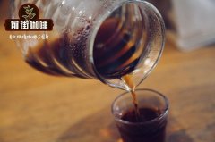 WBC比赛是什么 咖啡WBC大赛 2018咖啡WBC大赛官网