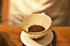 SCAA美国精品咖啡协会有那些认证项目？SCA国际咖啡认证含金量