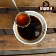 哥斯达黎加布鲁玛斯庄园Finca Brumas del Zurqui介绍