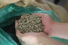 前街咖啡分享3种意式拼配配方，适合做出焦糖甜的拿铁和黑咖啡